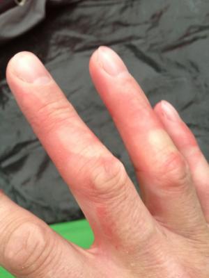 post-304-13714854311698_thumb.jpg