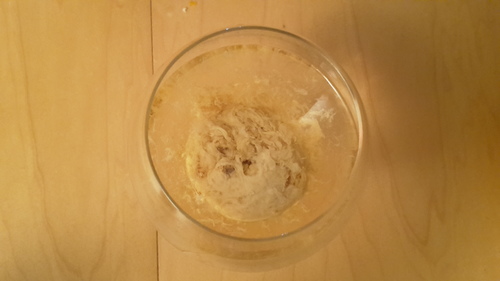20161229_211346.jpg