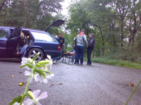 Abrollern 2008 (Archivfund)
