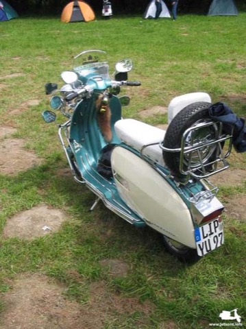 Scooterist Spring Break 2004