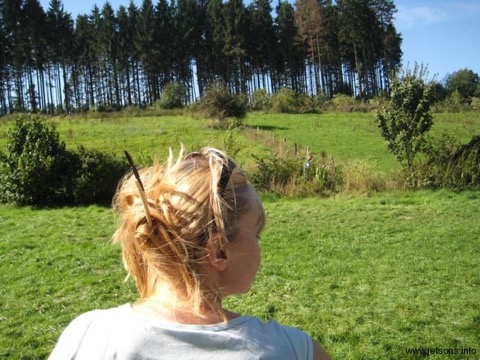 Summer Run 2008, Paderborn