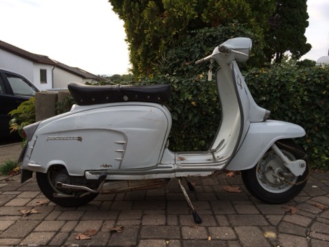 SX 150 in Spring Grey