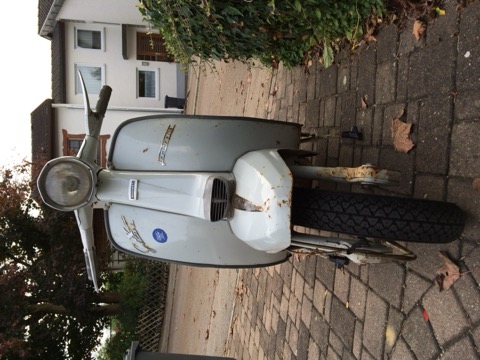 SX 150 in Spring Grey