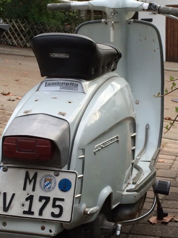 SX 150 in Spring Grey