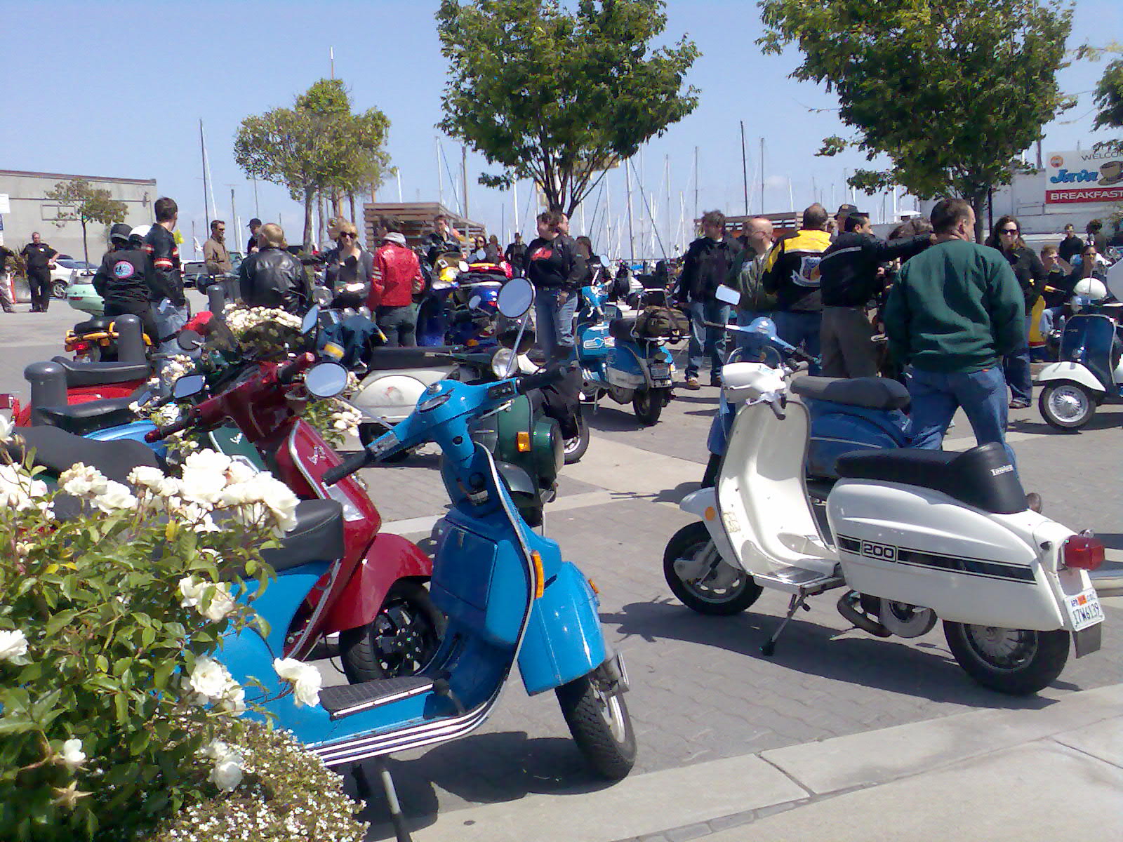 Mods vs Rockers